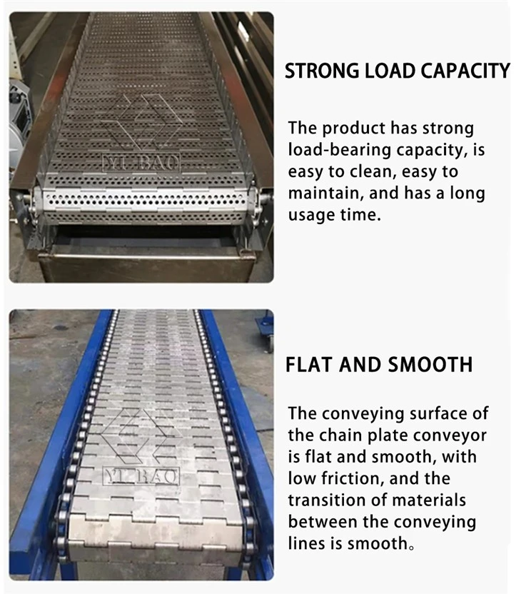 Chain Conveyor Systems